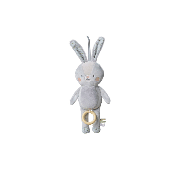 Taf Toys Rylee Muziekkonijn