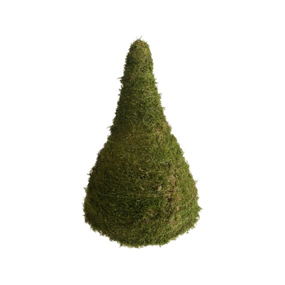 Pyramide Ovaal Groen Mos H40Cm Diepte 15Cm / Breedte 25Cm