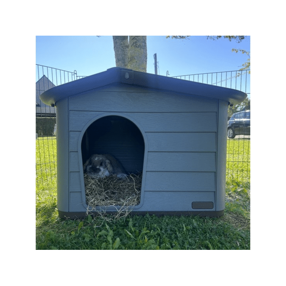 Duvo+ Pepita 1 Eco Huisdierhuis 60x51x41cm Bruin/groen