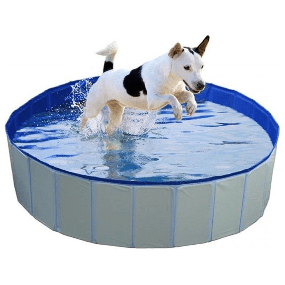Duvo+ Hondenzwembad D120cmxh30cm Blauw