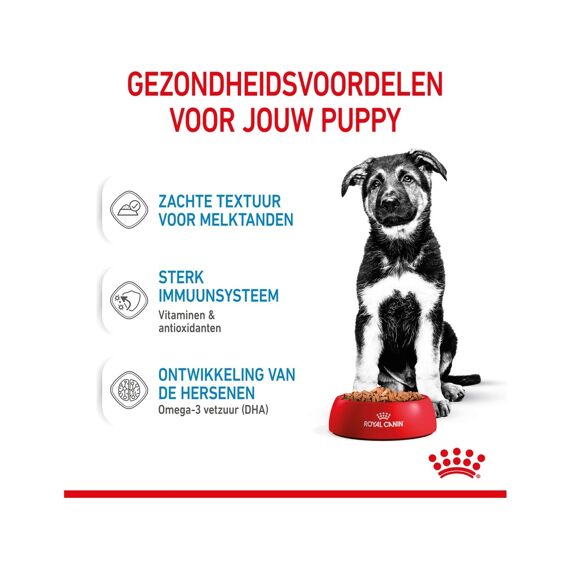 Royal Canin Maxi Puppy Wet (10X140Gram)