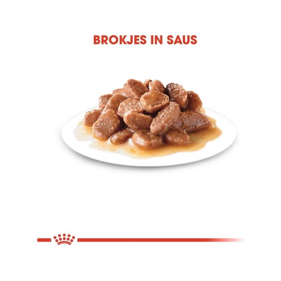 Royal Canin Light Weight Care In Gravy (Brokjes In Saus) (12X85Gram)