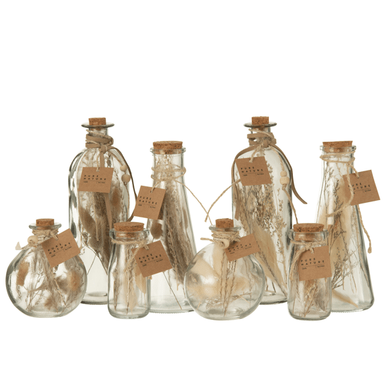 J-Line Gedroogde Bloemen In Fles Assortiment 7X21Cm Prijs Per Stuk