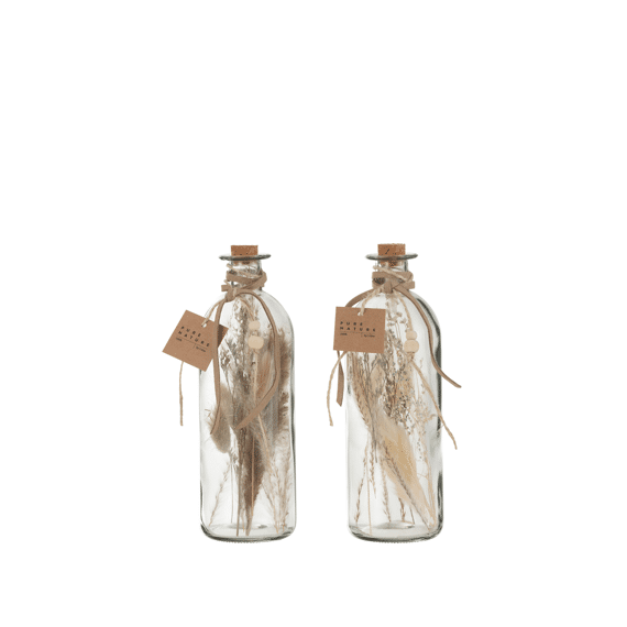 J-Line Gedroogde Bloemen In Fles Assortiment 7X21Cm Prijs Per Stuk
