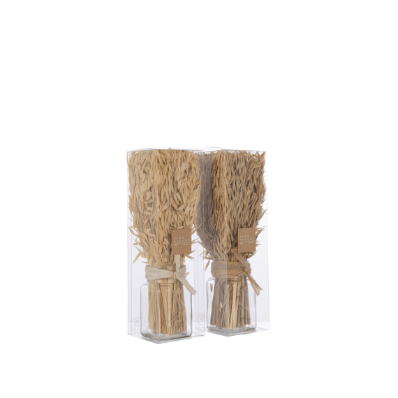 J-Line Bundel Gedroogd Avana Gras Assortiment Prijs Per Stuk