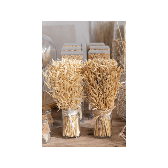 J-Line Bundel Gedroogd Avana Gras Assortiment Prijs Per Stuk