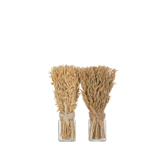 J-Line Bundel Gedroogd Avana Gras Assortiment Prijs Per Stuk