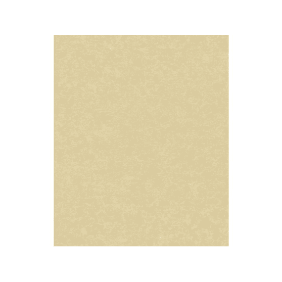 Vliesbehang Attitude- Uni Casper Goudgeel