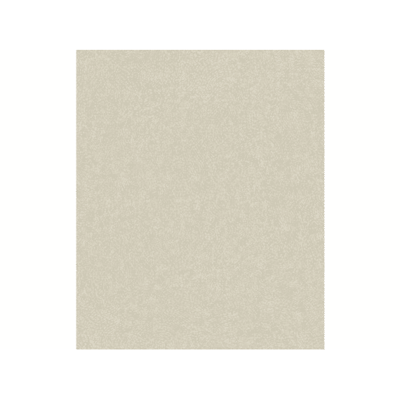 Vliesbehang Attitude- Uni Santiago Lichtbeige