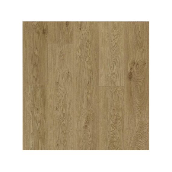 Berry Alloc Trendline 8 Daisy Oak B7006 2.2M² Per Pak