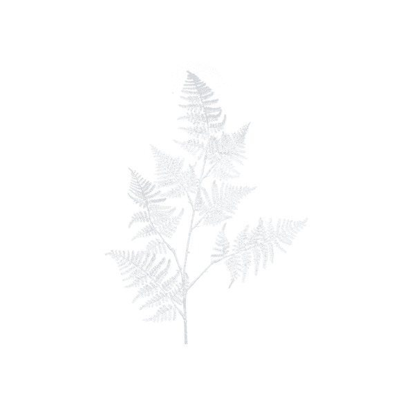 Asparagus Op Steel Plastic Gliiter L3.00-W36.00-H87.00Cm Wit