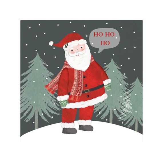 Ppd Santa In Grey Servetten 33X33Cm - 20 Stuks