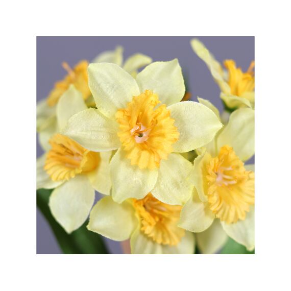 Daffodil Bundle X3 28Cm Geel