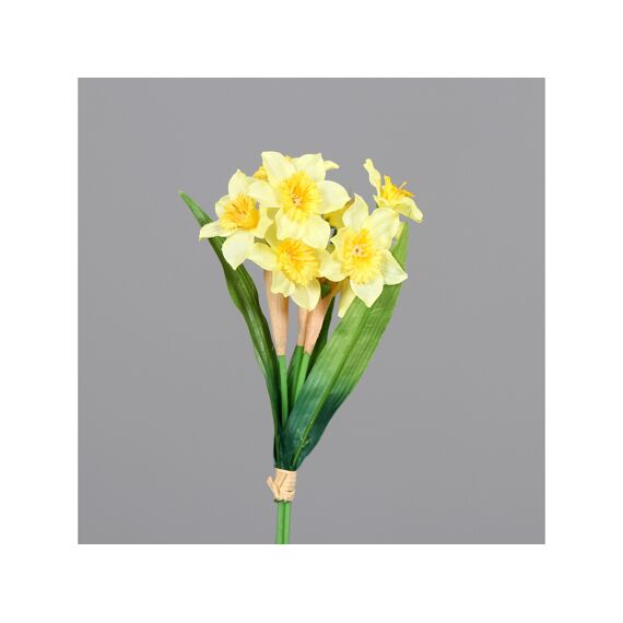 Daffodil Bundle X3 28Cm Geel