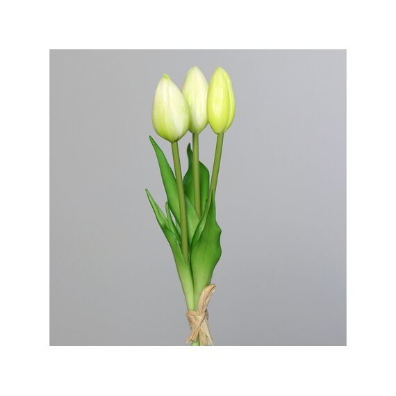 Tulip Bundle X3 24Cm Wit-Groen