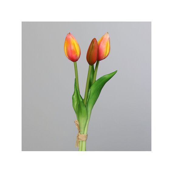 Tulip Bundle X3 24Cm Rosee-Pink