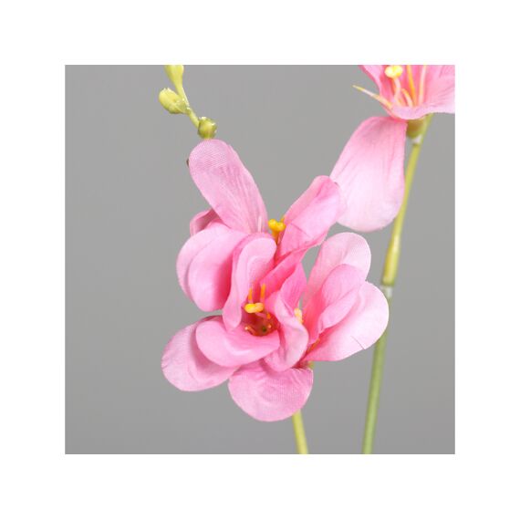 Freesia 68Cm Pink