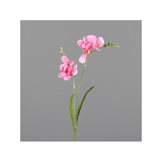 Freesia 68Cm Pink