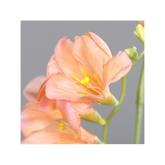 Freesia 68Cm Orange