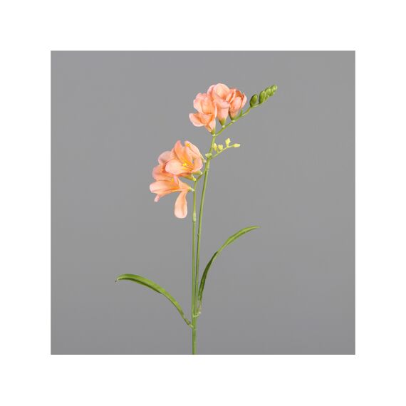 Freesia 68Cm Orange