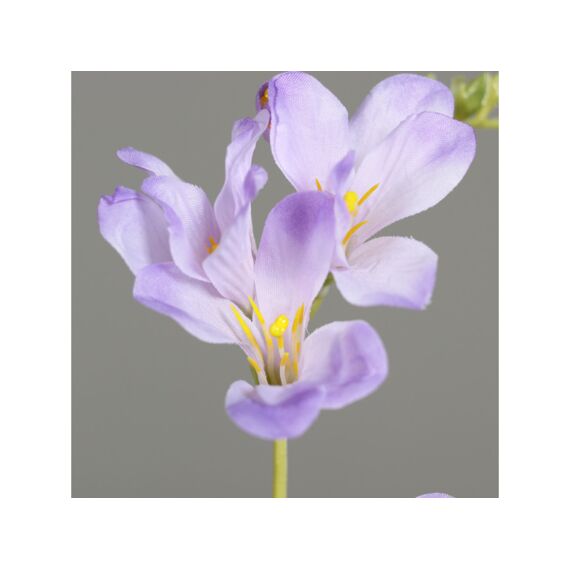 Freesia 68Cm Lavender