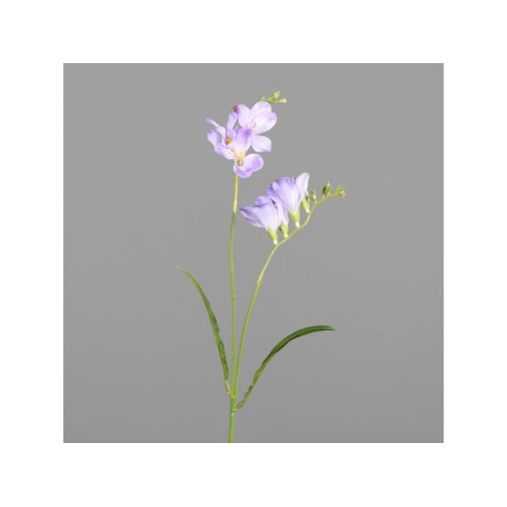 Freesia 68Cm Lavender