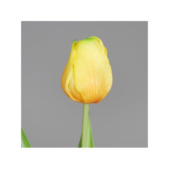 Tulip Bundle X2 38Cm Geel