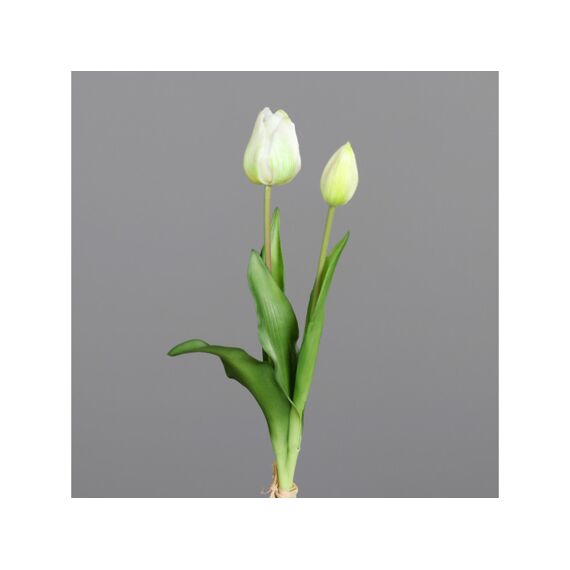 Tulip Bundle X2 38Cm Creme