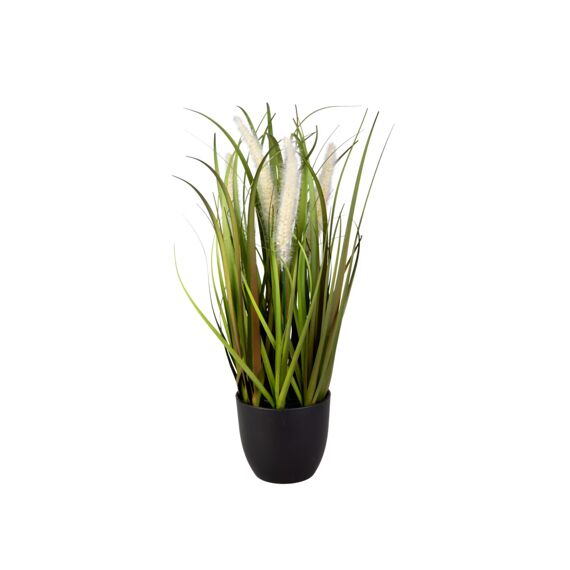 Grass In Black Plastic Pot 41Cm Creme - Assortiment Prijs Per Stuk