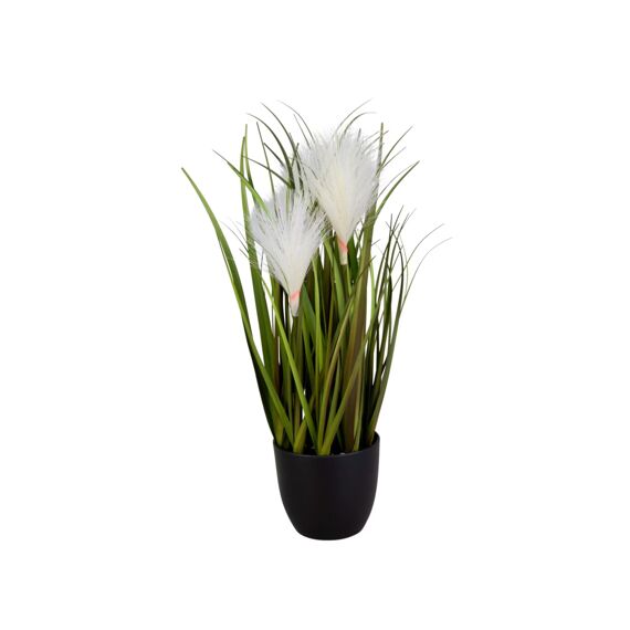 Grass In Black Plastic Pot 41Cm Creme - Assortiment Prijs Per Stuk