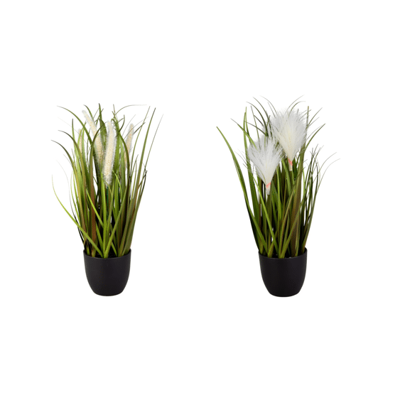 Grass In Black Plastic Pot 41Cm Creme - Assortiment Prijs Per Stuk