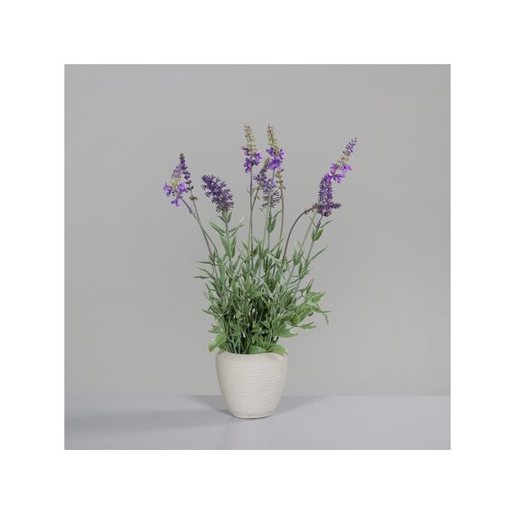 Lavendula In Grey Ceramic Pot 40Cm