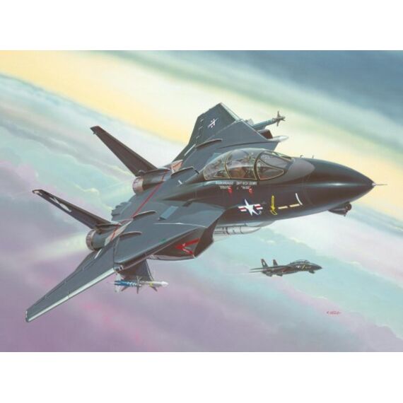 Revell 04029 F-14A Black Tomcat