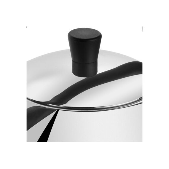 Zwilling Plus Fluitketel Rond