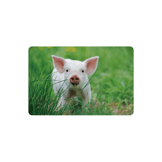 Finesse Placemat 28,5X43,5Cm Piglet