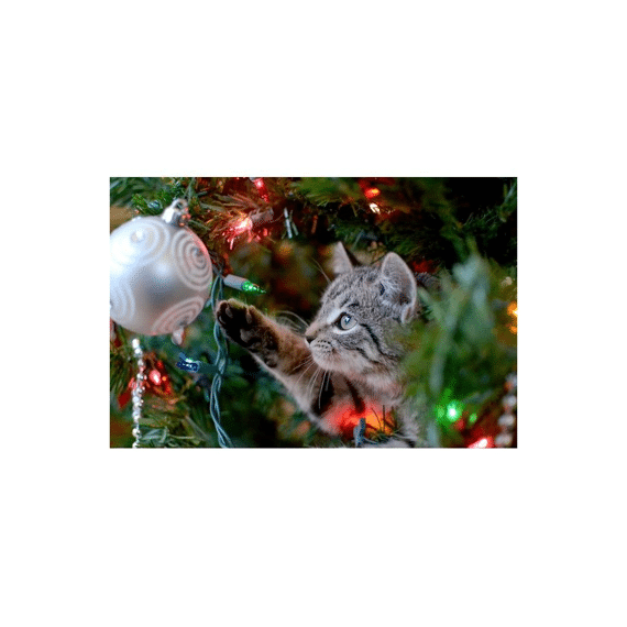 Finesse Placemat 28,5X43,5Cm Santa Claws