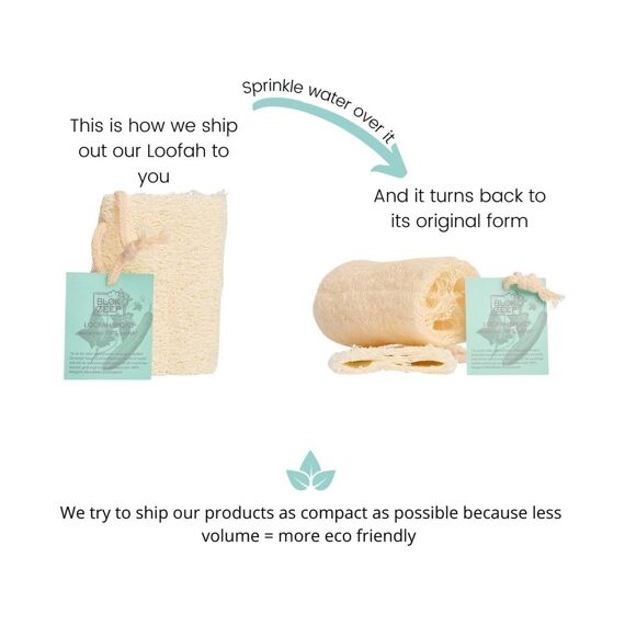 Blokzeep Loofah Spons 10Cm 100% Natuurlijk