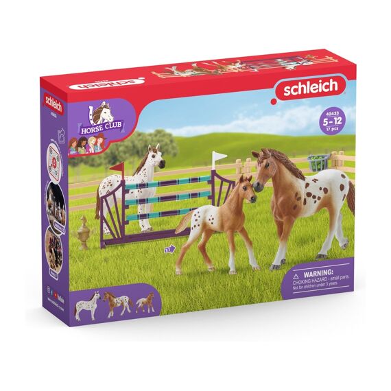 Schleich Horse Club Toernooi Trainingsset