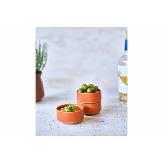 Dela Bowl D10.5Xh5Cm Terracotta Set/3