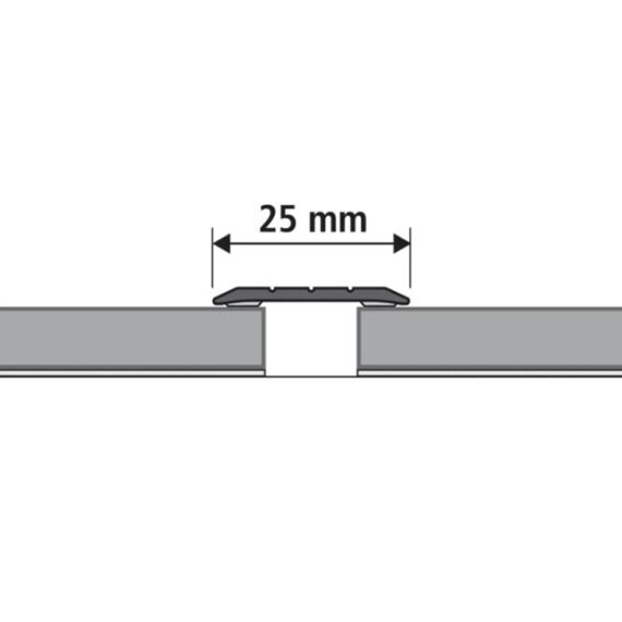 Overgangsprof. Gv Zilver Zelfkl 25X950Mm