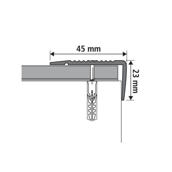 Trapprofiel Zilver 45X23X1900Mm