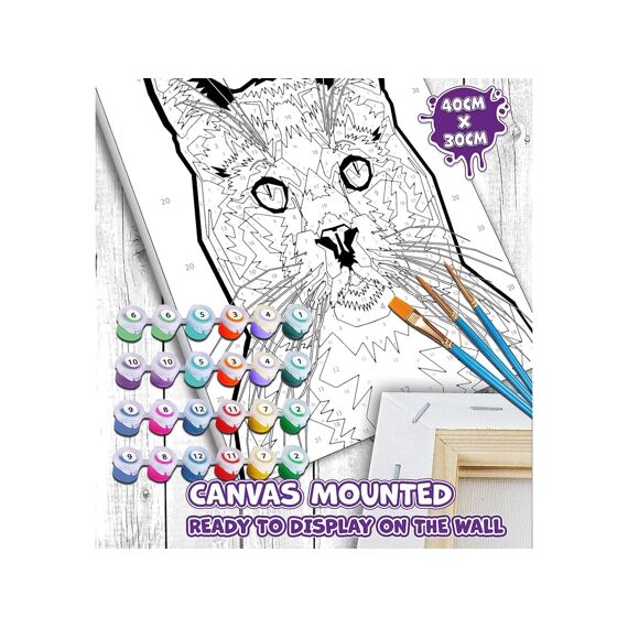 Paint By Numbers Creative Set Kat