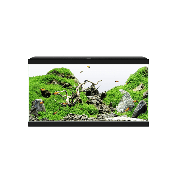 Ciano Aquarium 60 Led Cf80 60X30X41Cm Zwart