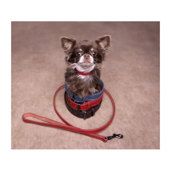 Halsband Denver Bruin S 29-35Cm