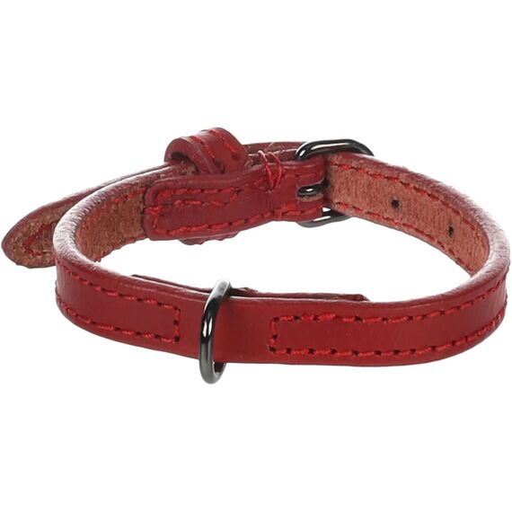 Halsband Denver Rood Xs 20-25Cm