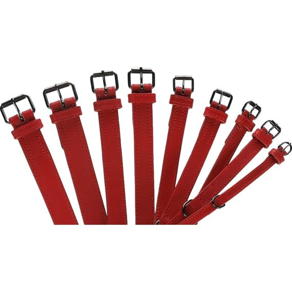 Halsband Denver Rood Xs 20-25Cm