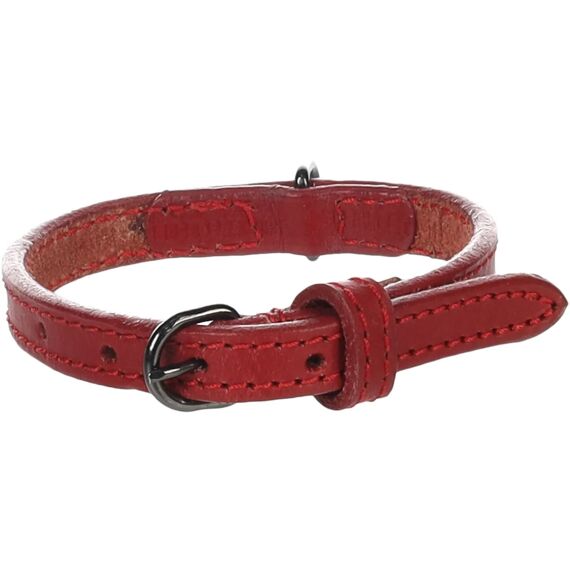 Halsband Denver Rood Xs 20-25Cm