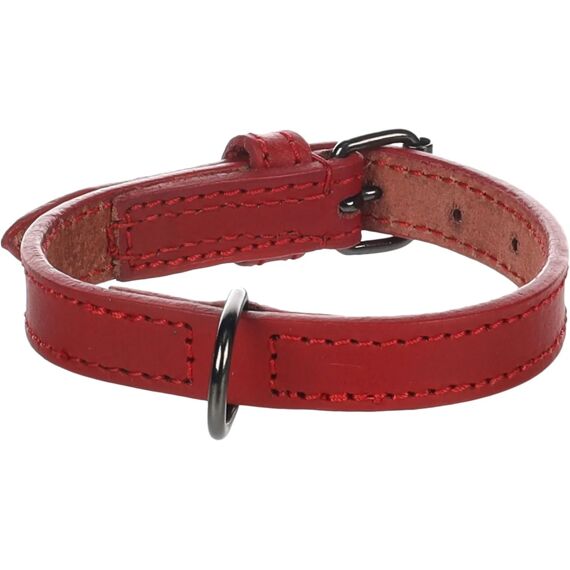 Halsband Denver Rood Xs/S 24-30Cm