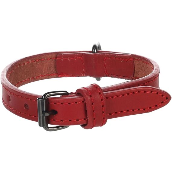 Halsband Denver Rood Xs/S 24-30Cm