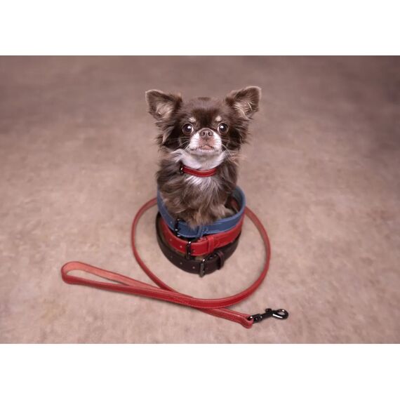 Halsband Denver Rood S 29-35Cm 15Mm